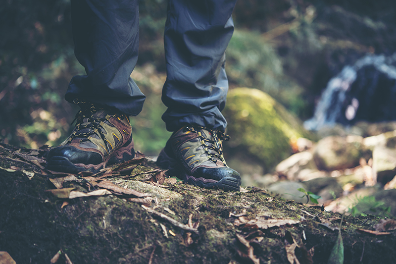 SALOMON QUEST 4 GTX – MIGHT HAVE AS WELL BEEN THE BEST HIKING BOOTS OVERALL - Best Hiking Boot
